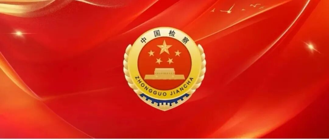 2025，致敬白洋堤的“优秀”答卷人