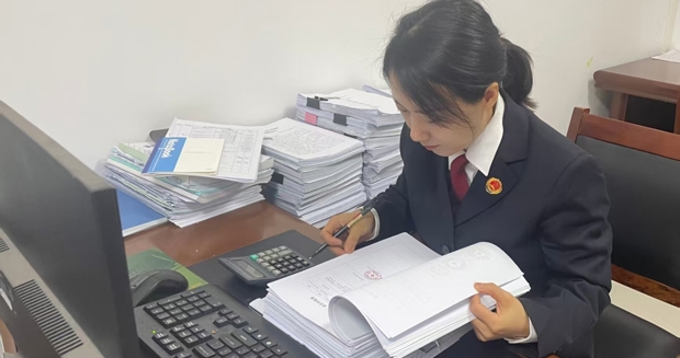 我不是检察官，但正义也有我一份